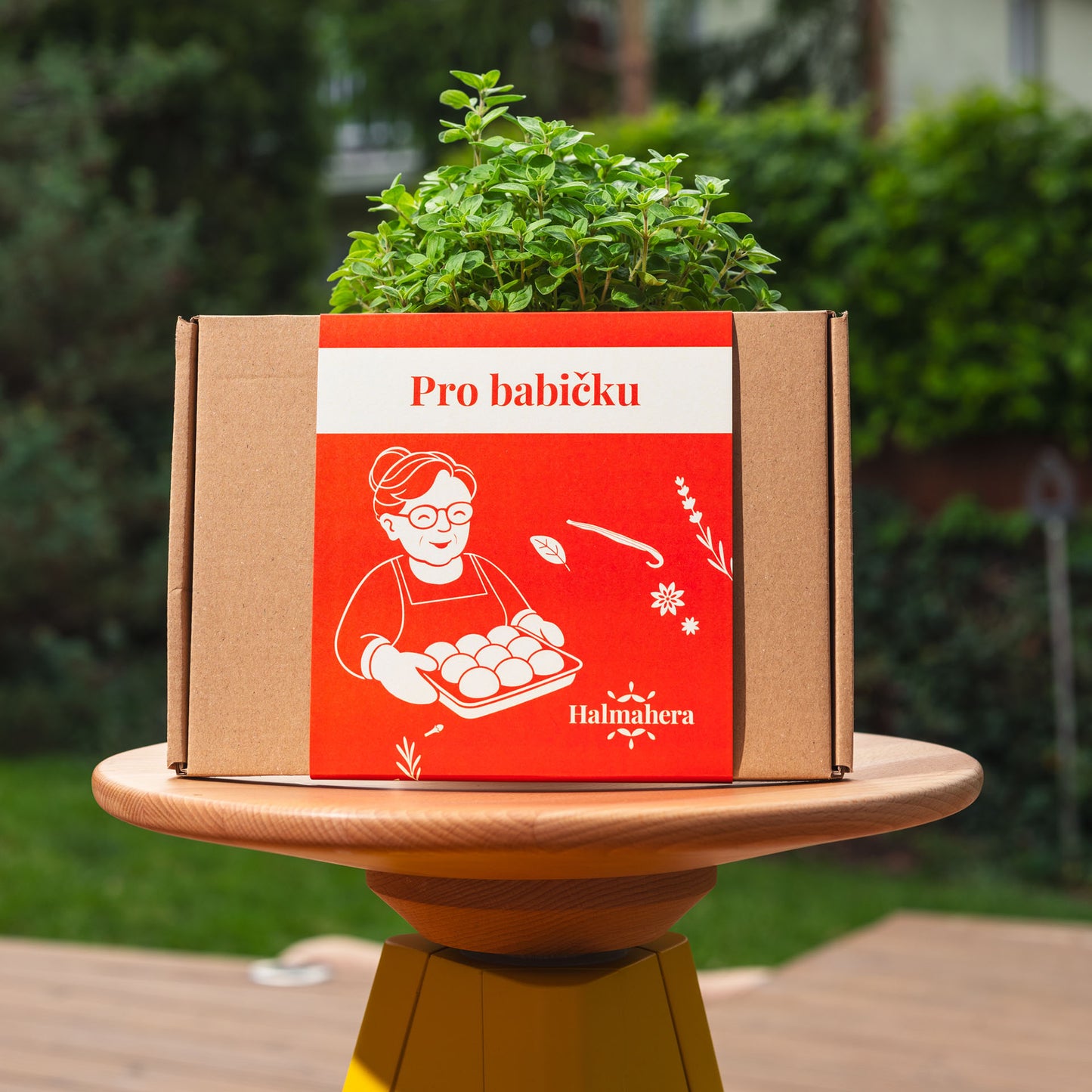 Pro babičku