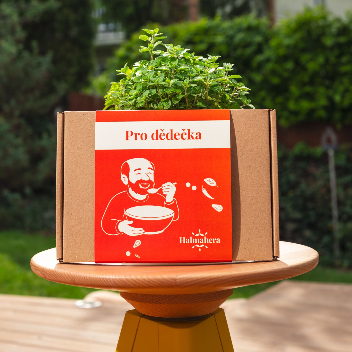 Pro dědečka